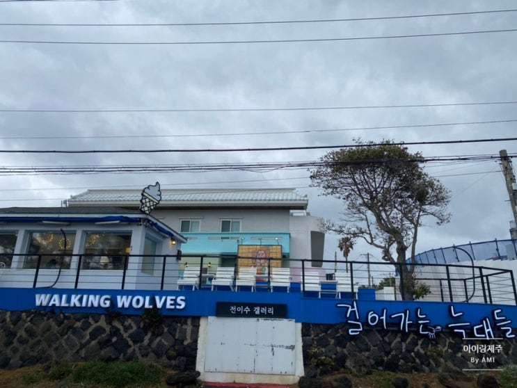 [겨울제주] 아이랑 가기 좋은... 전이수갤러리 걸어가는늑대들...