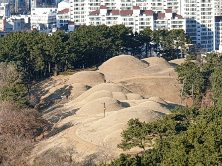 연산동 배산숲길 따라 배산 정상 오르고 배산성지 와 연산동고분군 둘러보며 : 네이버 블로그