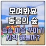 모동숲] 모여봐요 동물의 숲! 이제 섬 꾸미기를 한번 시작해 볼까? (Feat. 섬꾸, 할로윈은 이제 끝)