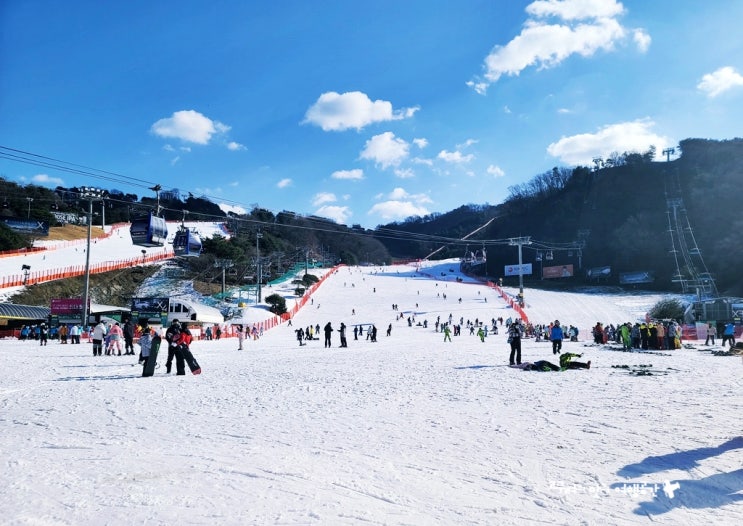 홍천 비발디파크 스키장 셔틀버스 이용정보 및 식당 후기 : 네이버 블로그