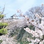 오사카 및 근교 여행 1편 : 히메지 성(Himeji Castle)과 이시 노 호덴(Ishi no Hoden). (2023년 3월)