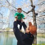아기랑 함께 본 첫 벚꽃 , 23년 석촌호수 벚꽃축제 미리 다녀왔어요