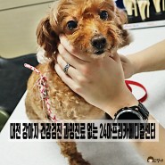 대전 강아지 건강검진 과잉진료 없는 24아프리카메디컬센터