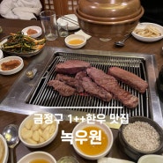 [부산 한우 맛집] 투쁠한우 식육식당, 녹우원 금정구 한우 맛집