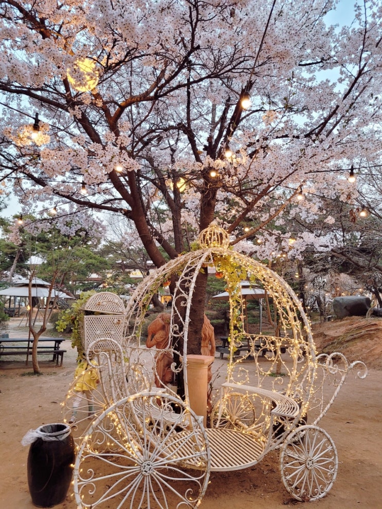 일산 벚꽃 카페, 애니골 미완성 카페
