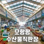 충남 태안 여행 태안 만리포해수욕장 가기전 방문한 모항항 수산물직판장