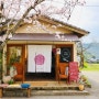 일본 여행(소도시 여행), 봄이면 벚꽃이 만발하는 후쿠오카 근교의 작고 예쁜 마을 아키즈키
