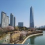 인천 송도ㅣ센트럴파크 나들이 벚꽃상황 & 전망대 정보🌸