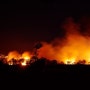 서울 인왕산에서 발생한 산불의 원인