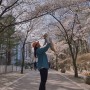 수원 권선중앙공원온정나눔문화거리 첫 벚꽃 나들이 아기랑👶
