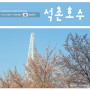 서울 잠실 석촌호수 벚꽃축제 끝난 듯 (4월 2일 현재)