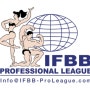 [피트니스 대회일정] IFBB AGP 프로 비키니 @파주 / IFBBPRO 프로선수 비키니대회 프로선수비키니 퀄리티 좋은 대회용비키니 추천