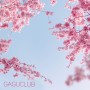 [가구클럽] 벚꽃 만개 기념으로 알아보는 분홍색 사무용 가구들
