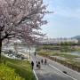 벚꽃 명소, 하동 십리벚꽃길과 순천 동천