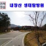 전북 가볼만한곳 내장산 국립공원 내장산 생태탐방원 국가생태관광지 솔티숲
