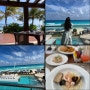 [칸쿤 신혼여행] 2일차 Secrets The Vine Cancun 체크인 로비 / 시크릿더바인 식당 Sea Salt Grill (씨솔트그릴) 카리브해 포토존