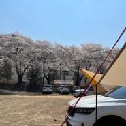 #9. 청려수련원(동탄) - 벚꽃노지피크닉