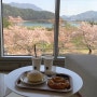 밀양 벚꽃 명소 카페 삼랑 빵 먹으며 낙동강뷰!