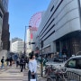 벚꽃 가득 오사카
