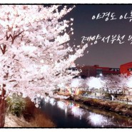 야경이 아름다운 서부간선수로 벚꽃엔딩, 인천 벚꽃 명소, 계양서부천 벚꽃 축제, 서운체육공원 벚꽃길
