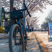 전기자전거 타고 여의도 벚꽃길 라이딩! 자전거로 서강대교 넘는 방법 (메리다 이사일렉스 esilex 600 +)