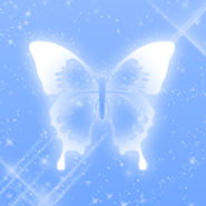 [공유종료] Butterfly 카카오톡 테마