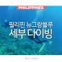 필리핀 세부다이빙 뉴그랑블루 스쿠버다이빙 자격증 따기