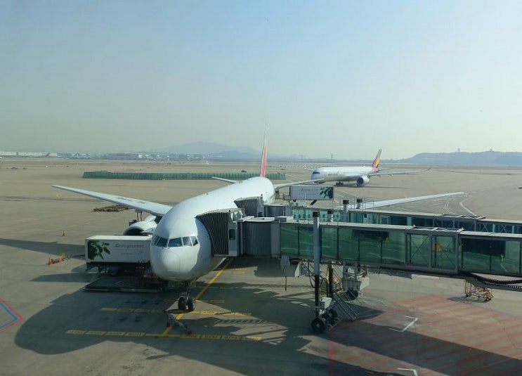 이탈리아 여행 Day 1(3.21) - 13시간 비행시간. 로마 피우미치노 공항. 공항버스. 테르미니역 지하 타바키. 에어비앤비 ...