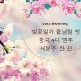 벚꽃잎이 흩날릴 땐 중국 4대 명주 '서봉주' 한 잔~