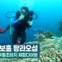 [맨블] 필리핀 보홀 팡라오섬 | 돌조비치 스킨스쿠버 체험다이빙! 보홀로드