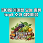 파이토케미컬 효능 종류 top5 소개 섭취이유