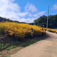 【테마로 보는 마을공동체】 마을과 마음에 꽃 가꾸는 사람들