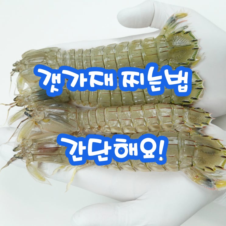 갯가재 찌는법 손질 및 보관 어떻게 할까 : 네이버 블로그