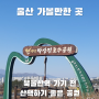 [울산가볼만한곳] 송정박상진호수공원 | 북울산역 가기 전에 산책하기 좋은 곳