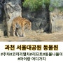 과천 서울대공원 동물원 4살아이와 나들이