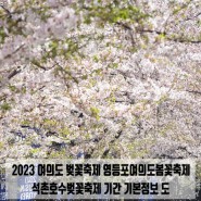 2023 여의도 벚꽃축제 영등포여의도봄꽃축제 석촌호수벚꽃축제 기간 기본정보 도