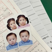 아기 여권 만들기 준비물 우편배송받은 후기