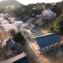 익산 용안향교 벚꽃 구경하기