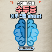 수두증 hydrocephalus 예후 치료 션트 수술 shunt