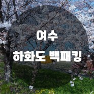 여수 하화도 백패킹 / 벚꽃 캠핑 성지인 이유가 있었던 곳 (feat.배편 정보)