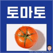 토마토 효능 효과 권장량 토마토와 근육