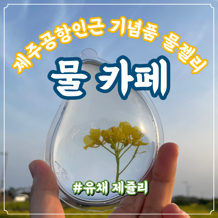 [제주공항근처카페 / 물카페] 제주기념품이나 인증샷 남기기에도 너무 예쁜 물젤리 : 네이버 블로그
