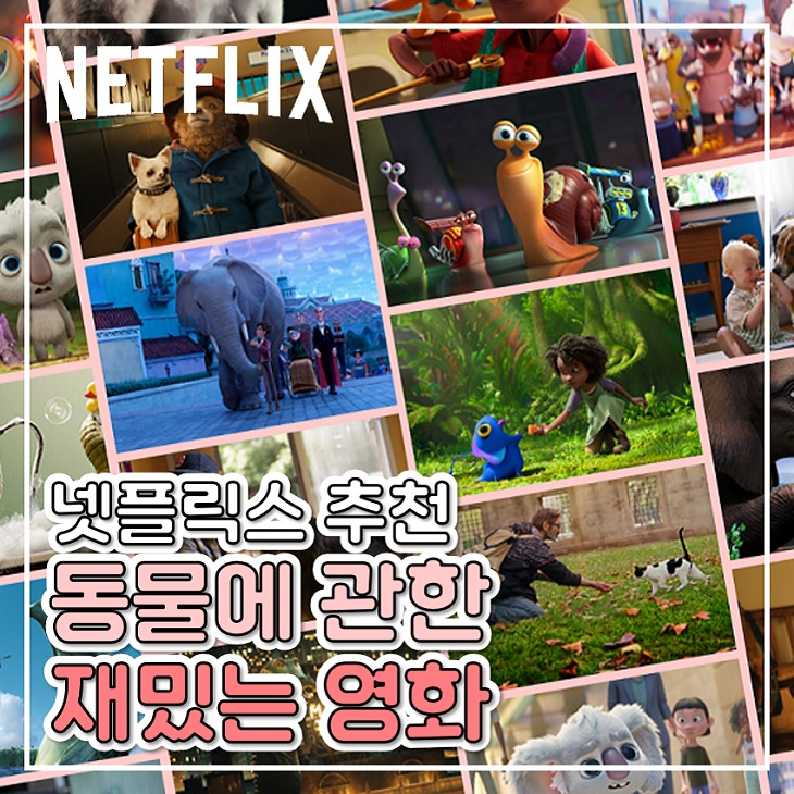 가족과 집에서 볼만한 재밌는 넷플릭스 동물 영화 추천 : 네이버 블로그