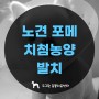 포메 노견 치첨농양발치 스케일링 수술 - 서울 은평구 갈현동 도그원 동물의료센터