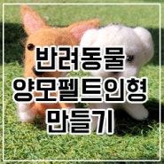 양모펠트 첫 도전! 반려동물 닮은 인형 만들기!