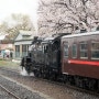 벚꽃과 일본철도