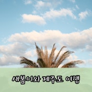 Ep27-1. 3대가 함께 간 제주도 여행 / 제주 동문시장 주차, 제주 국수마당