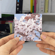 벚꽃 팝업카드 만들기