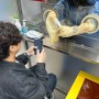 부산 PCR검사 비용 저렴한곳 : 일본입국 해외출국