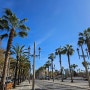 스페인 한 달 여행 3일차 #바르셀로나 #네타해변 #벙커